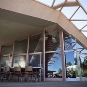 Institute of Mentalphysics