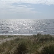 Hundestrand Hundige, Greve