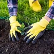 Garden Gloves