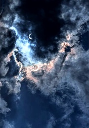 Wing (Amal El-Mohtar)