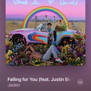 Falling for You Justin Bieber