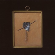 The for Carnations - Promised Works