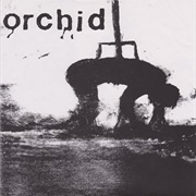 Orchid / Pig Destroyer - Orchid / Pig Destroyer
