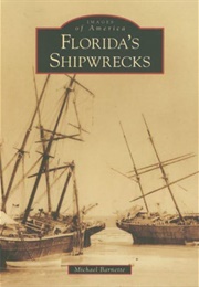 Florida's Shipwrecks (Michael C. Barnette)