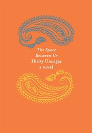 The Space Between Us (Thrity Umrigar)