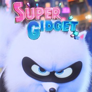 Super Gidget
