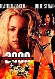 Big Sister 2000 (1995)