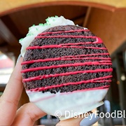 Chocolate and Peppermint Cookie Sandwich
