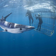 Cape Town, South Africa