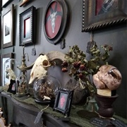 Dark Matter Oddities & Artisan Collective