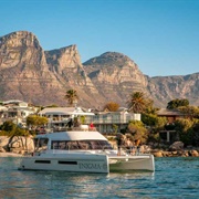 Cape Town Coastal Catamaran