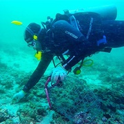 Pearl Diving in Bahrain