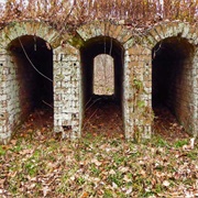 Vinton Furnace State Experimental Forest