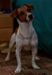 The Mask (Milo) (1994)