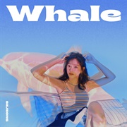 Whale - KIMSEJEONG