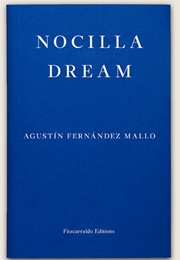 Nocilla Dream (Agustín Fernández Mallo)