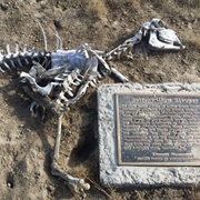 'Buttonwillow Bivouac'