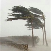 Anemophobia (Fear of Air)