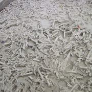 Hudson-Meng Bison Kill