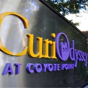 Curiodyssey
