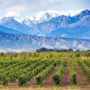 Mendoza, Argentina