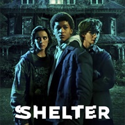 Shelter