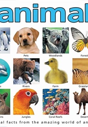 My Big Animal World Book (Roger Priddy)