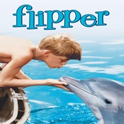 Flipper