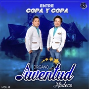 Por Un Caminito - Organo Juventud Mixteco