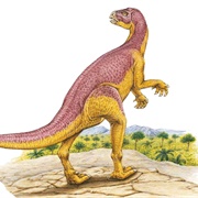 Xiaosaurus