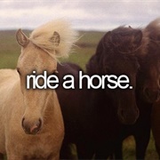 Ride a Horse