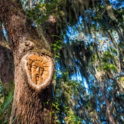 Saint Simons Island Tree Spirits
