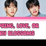 BOYS PLANET K GROUP Not Spring, Love or Cherry Blossoms