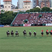 Campo Argentino Del Polo, Buenos Aires