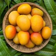 Ripe Mango