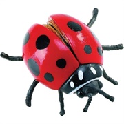 Toy Ladybug