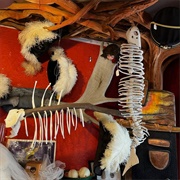 Frank Miranda's Oddities & Antiques