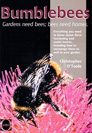 Bumblebees (Christopher O'Toole)
