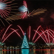 Floating Christmas Trees, Rio De Janeiro