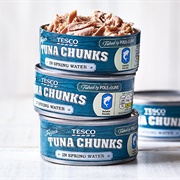 Tinned Tuna