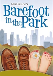 Barefoot in the Park (1981)