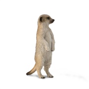 Toy Meerkat