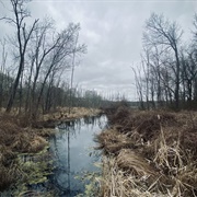 Franklin D. Roosevelt State Park, New York