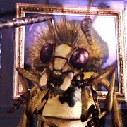 The Unicorn and the Wasp