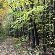 Brookside Reservation
