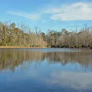 Palmetto Island State Park