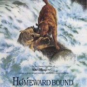 Homeward Bound: The Incredible Journey
