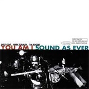 You Am I - Sound as Ever