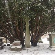 Grave of Arthur Twining Hadley