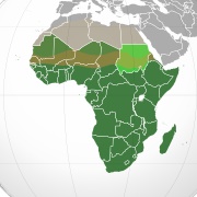 Sub-Saharan Africa
